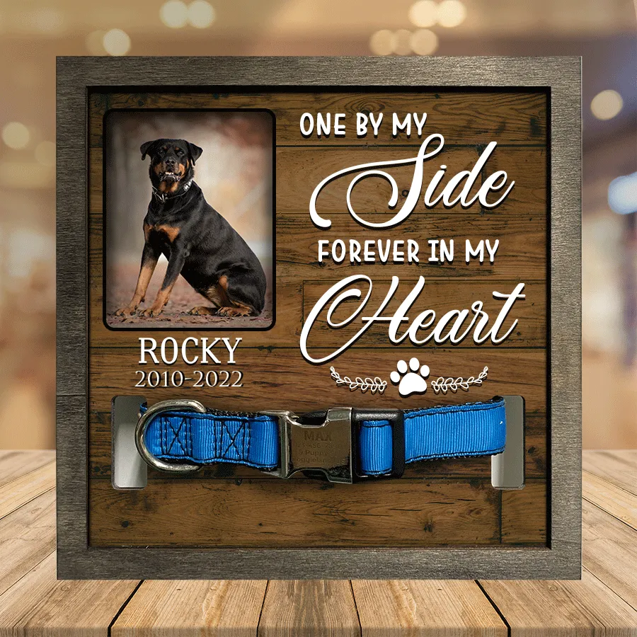 A Rottweiler, Dog Picture Frames, Memorial Pet, you were my favorite Hello, Pet Lover Gifts