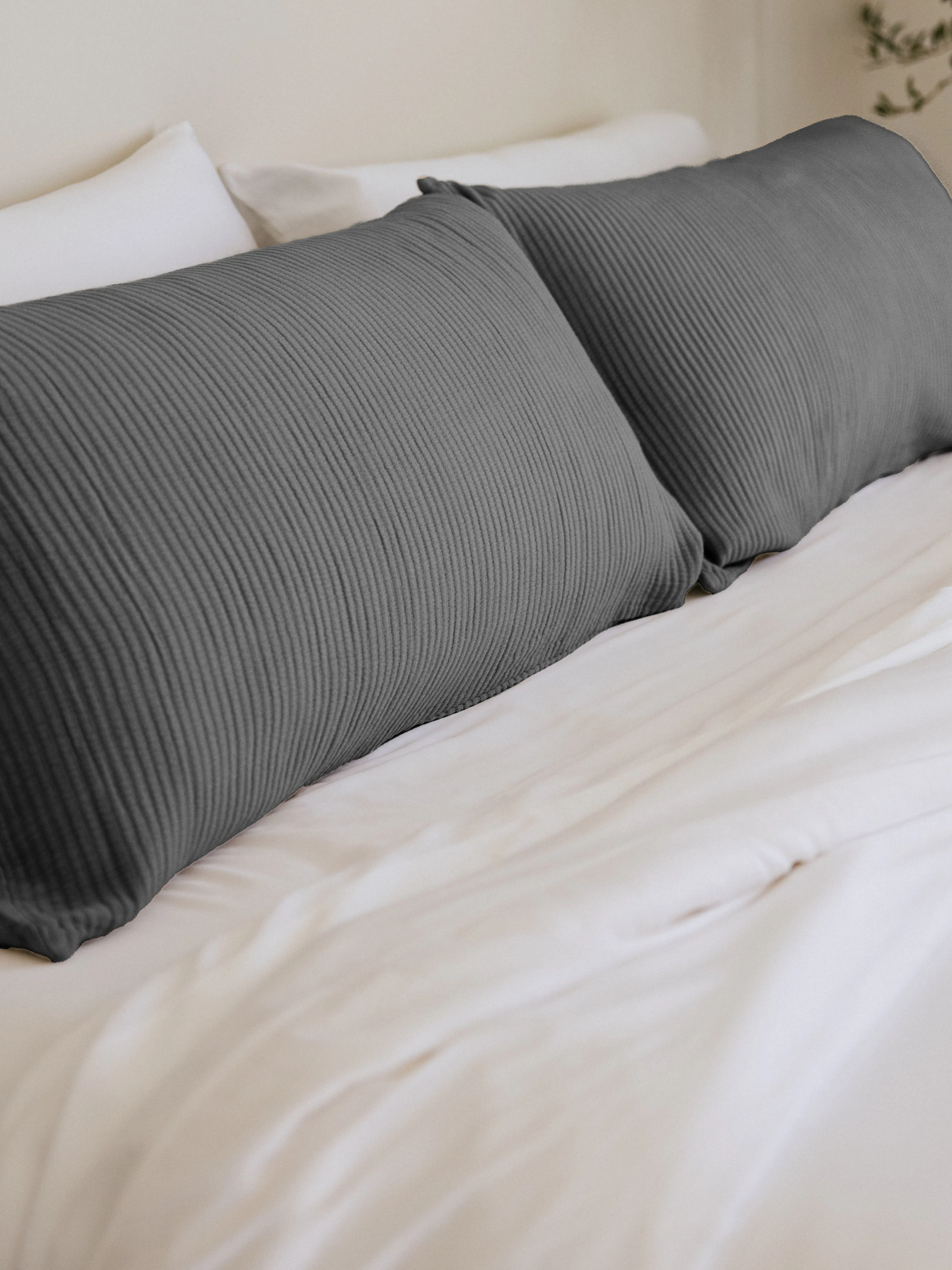 Bamboo Coverlet Shams