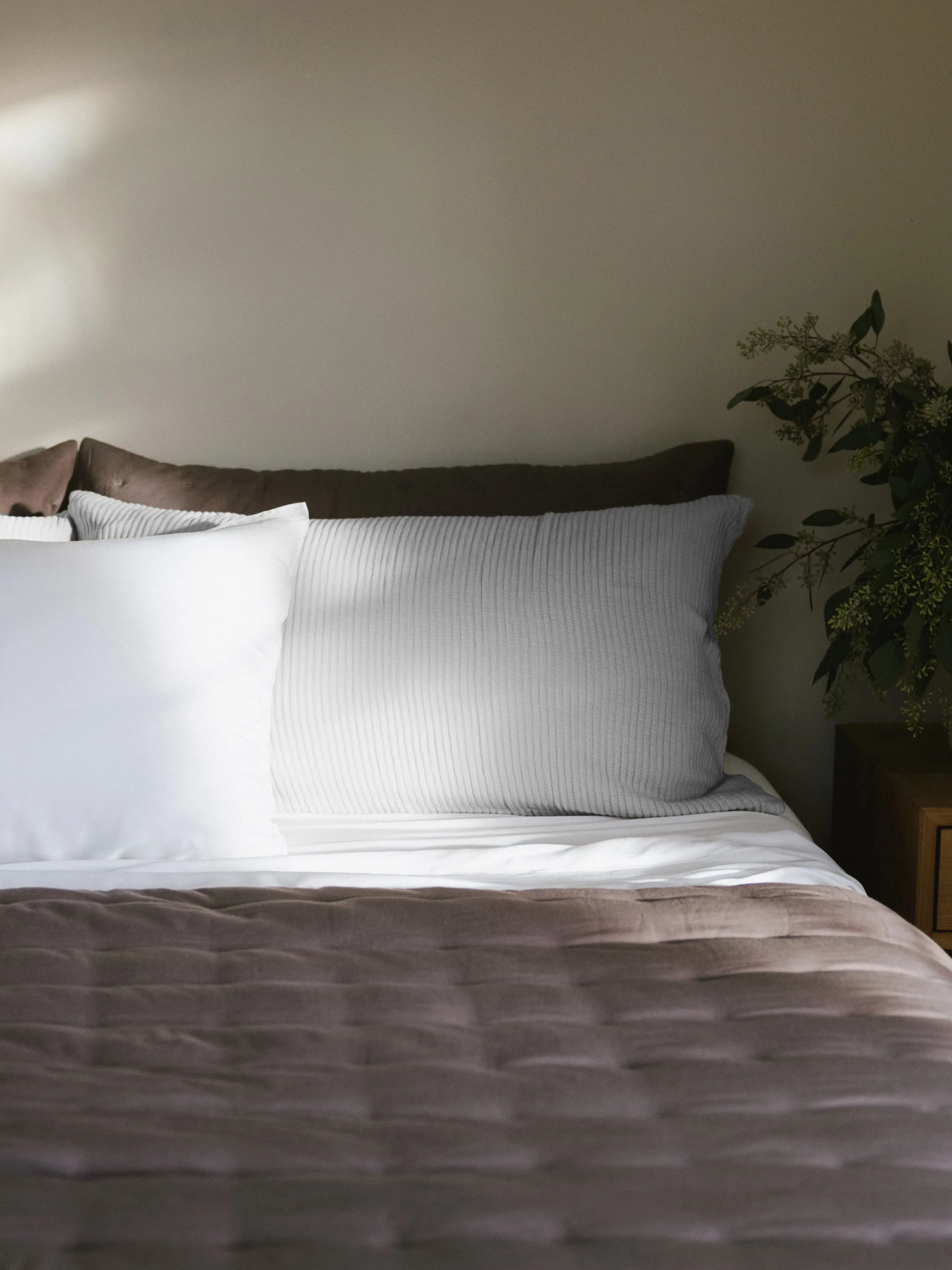 Bamboo Coverlet Shams