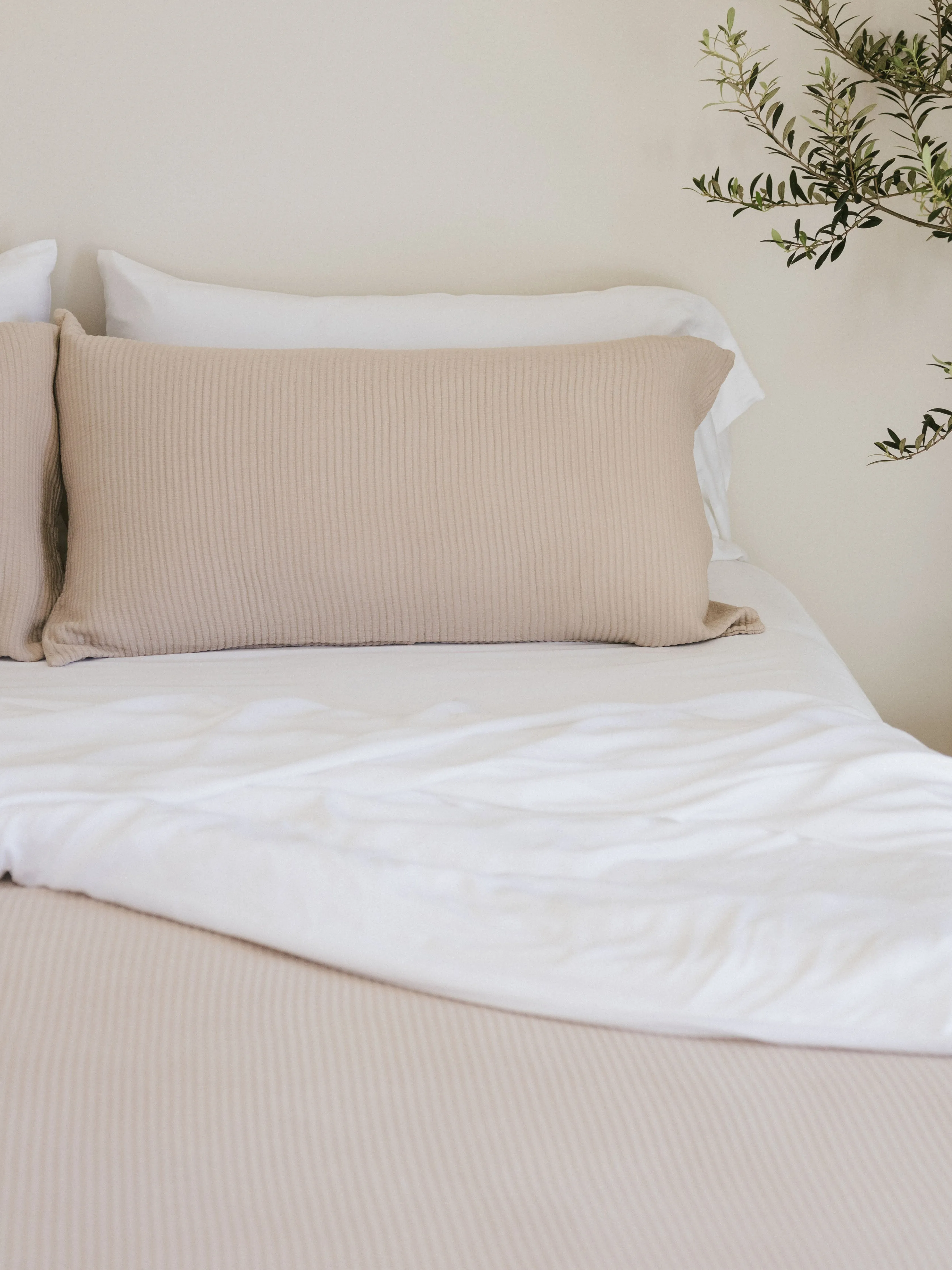 Bamboo Coverlet Shams