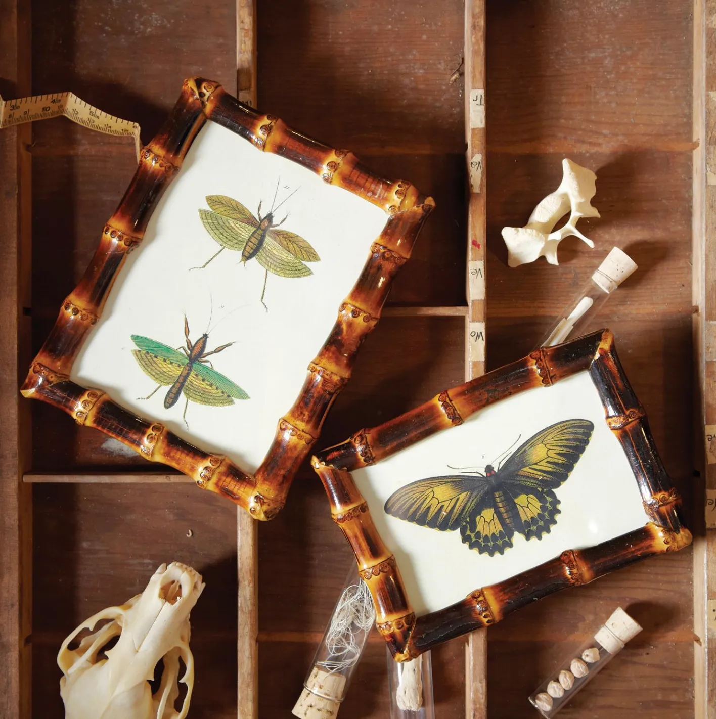 bamboo frames