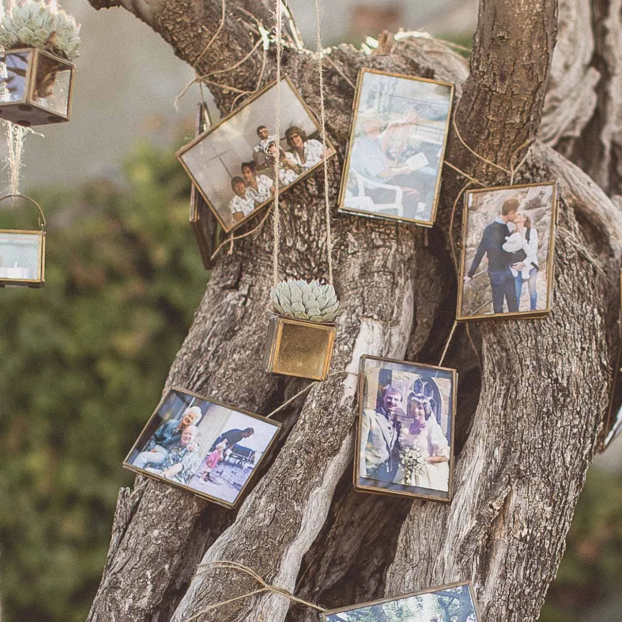 Brass Photo Frames Table Numbers (Free Standing) Wedding Stationery
