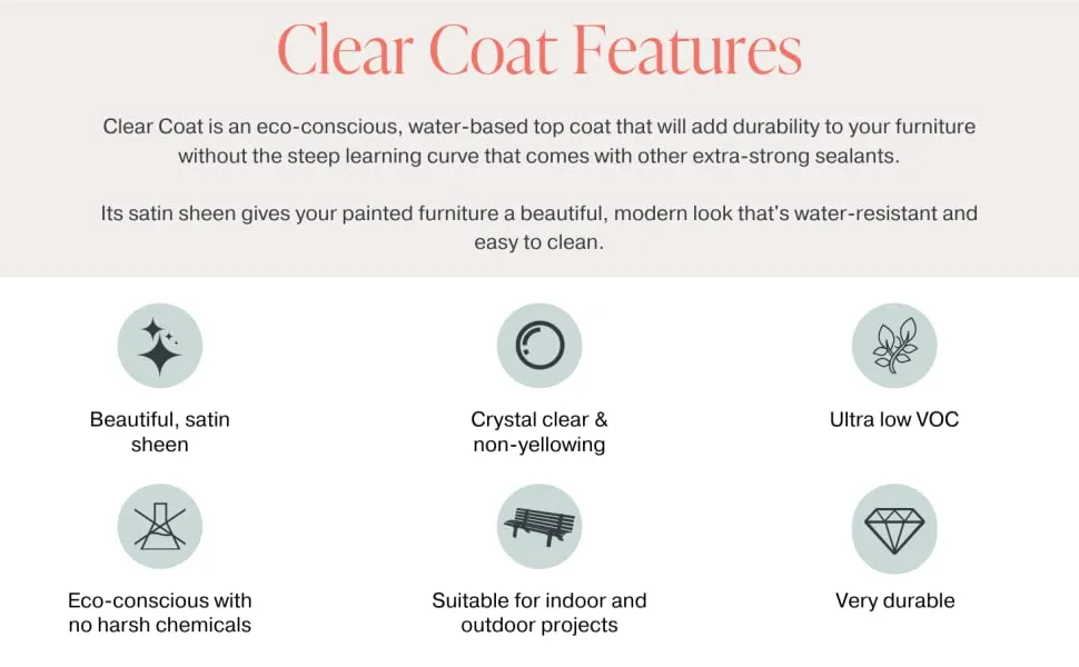 Clear Coat Paint