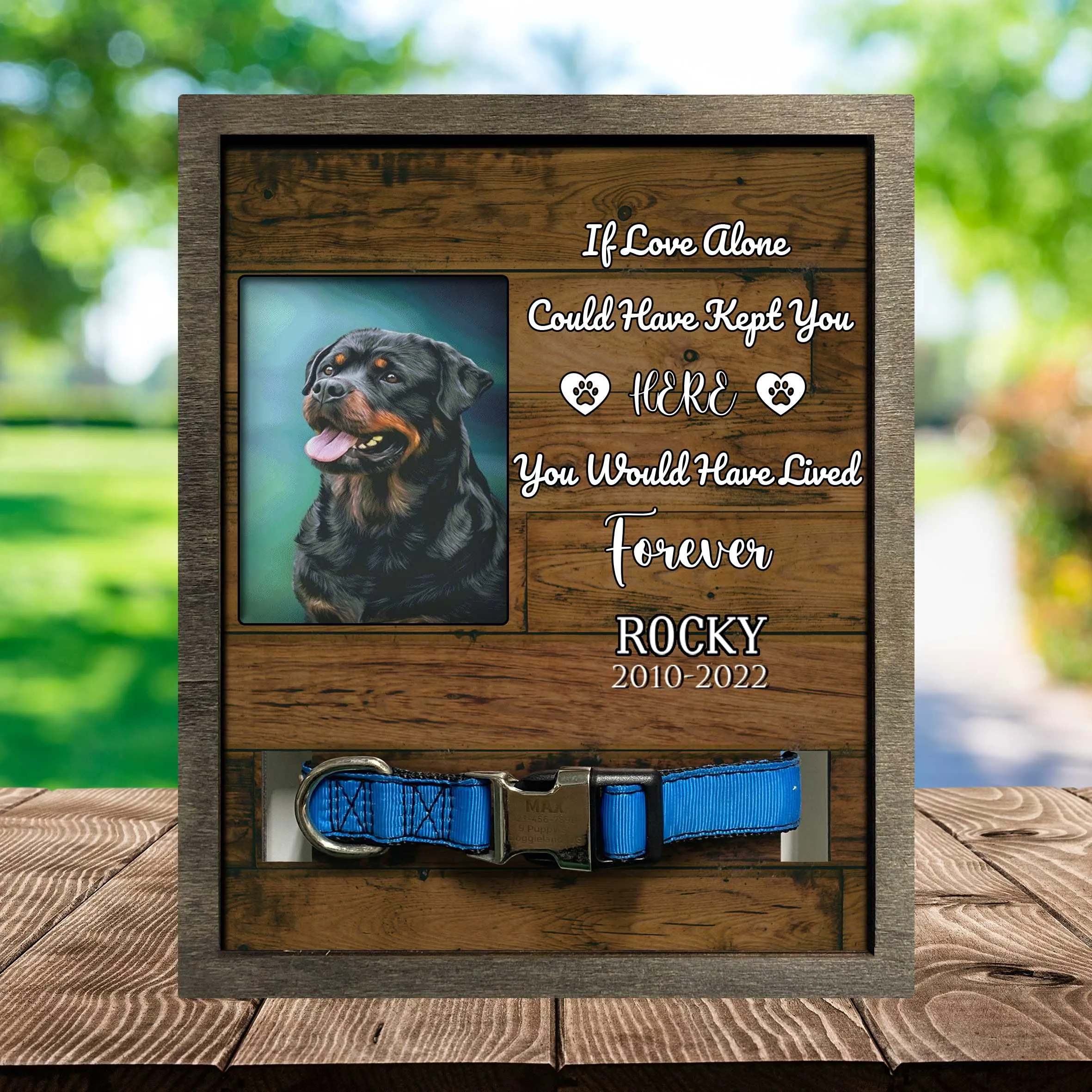 Dog Memorial Picture Frame, Dog Frames For Pictures Memorial Dog Remembrance, Sympathy Picture Frame