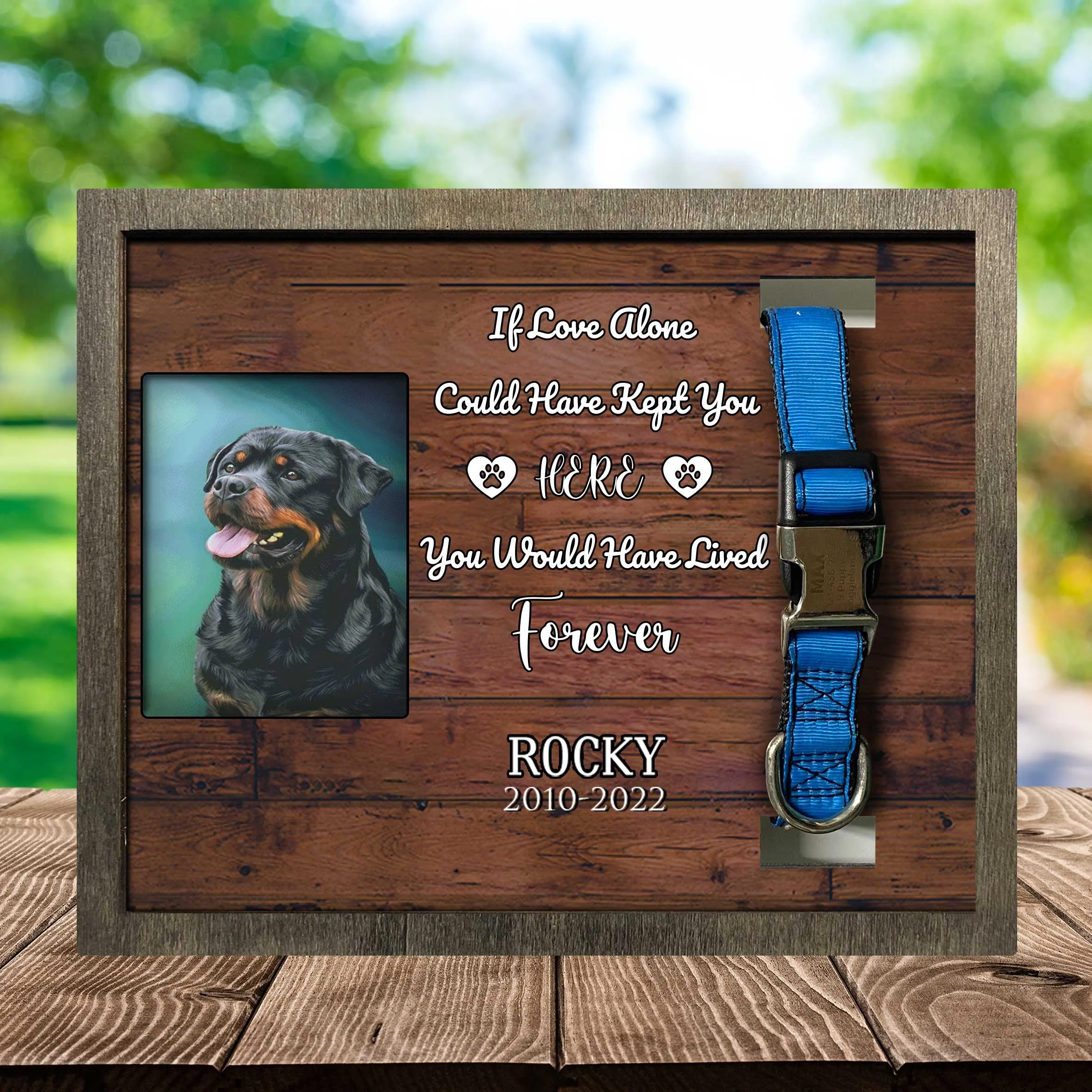 Dog Memorial Picture Frame, Dog Frames For Pictures Memorial Dog Remembrance, Sympathy Picture Frame