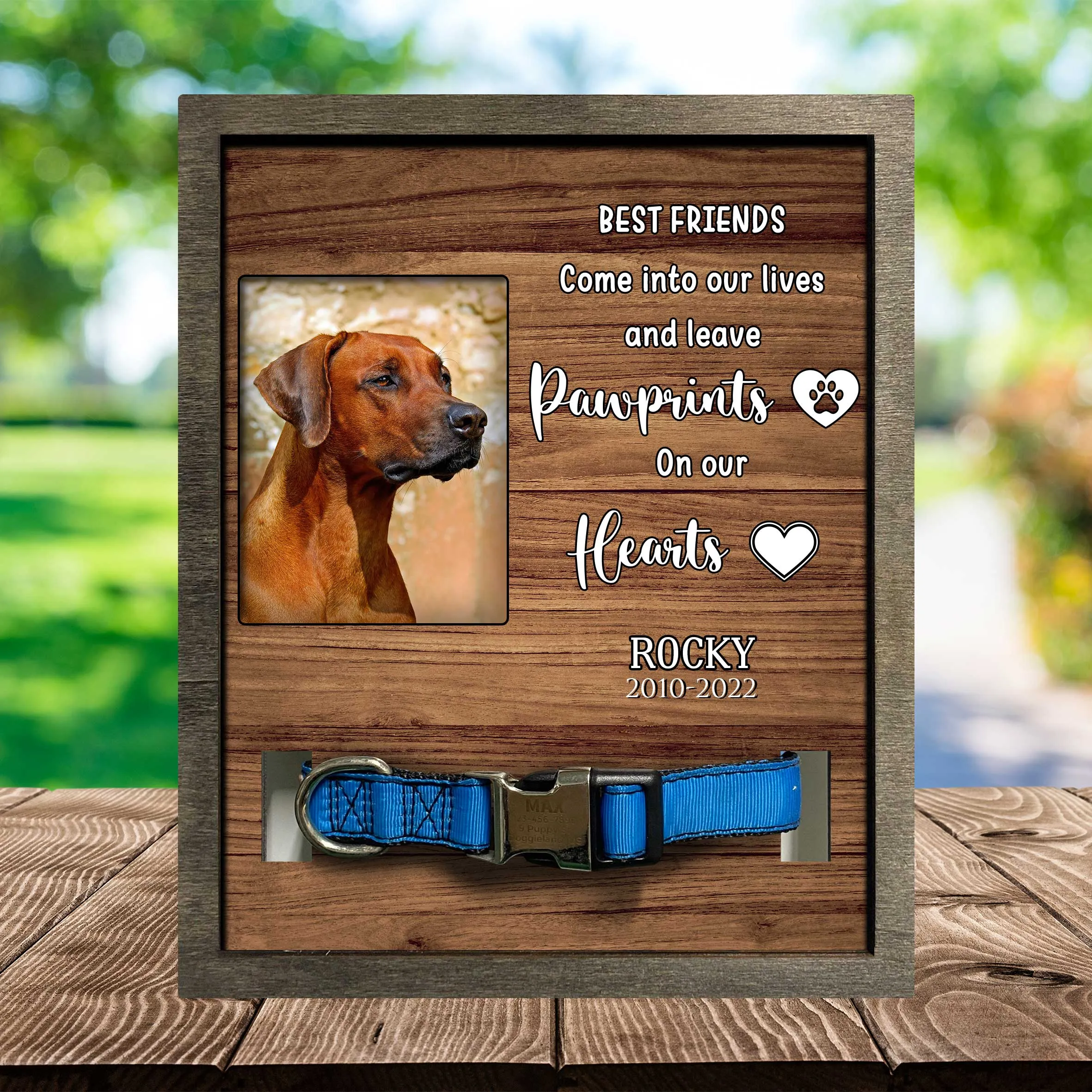 Dog Memorial Plaque For Loss Of Rhodesian Ridgeback, Remembrance Frame For Dog