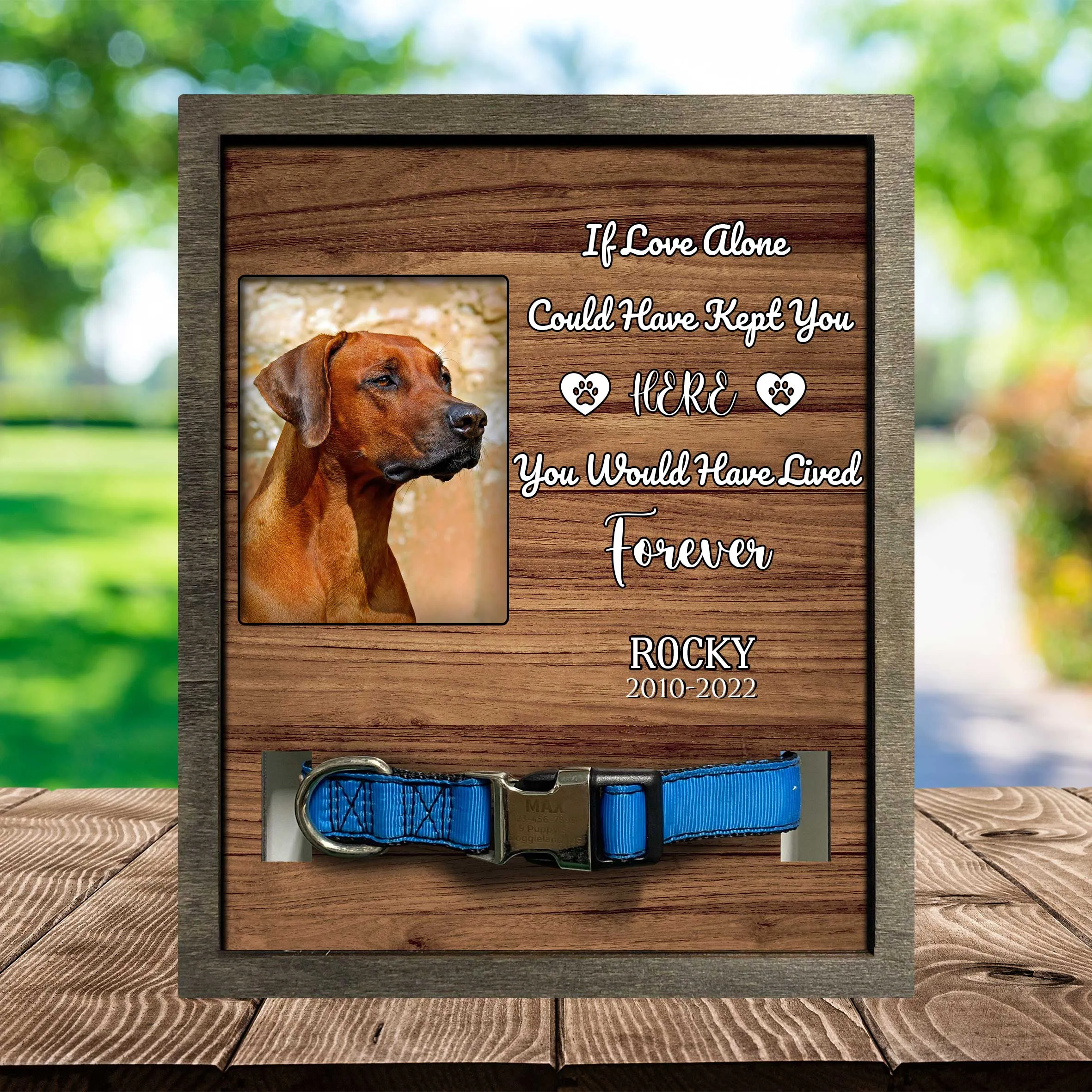 Dog Memorial Plaque For Loss Of Rhodesian Ridgeback, Remembrance Frame For Dog