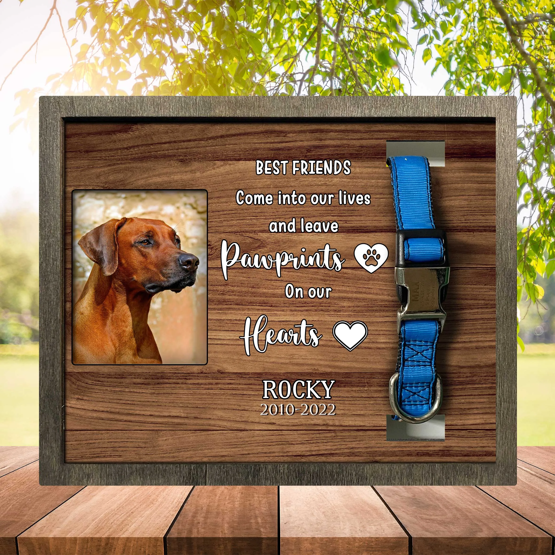 Dog Memorial Plaque For Loss Of Rhodesian Ridgeback, Remembrance Frame For Dog
