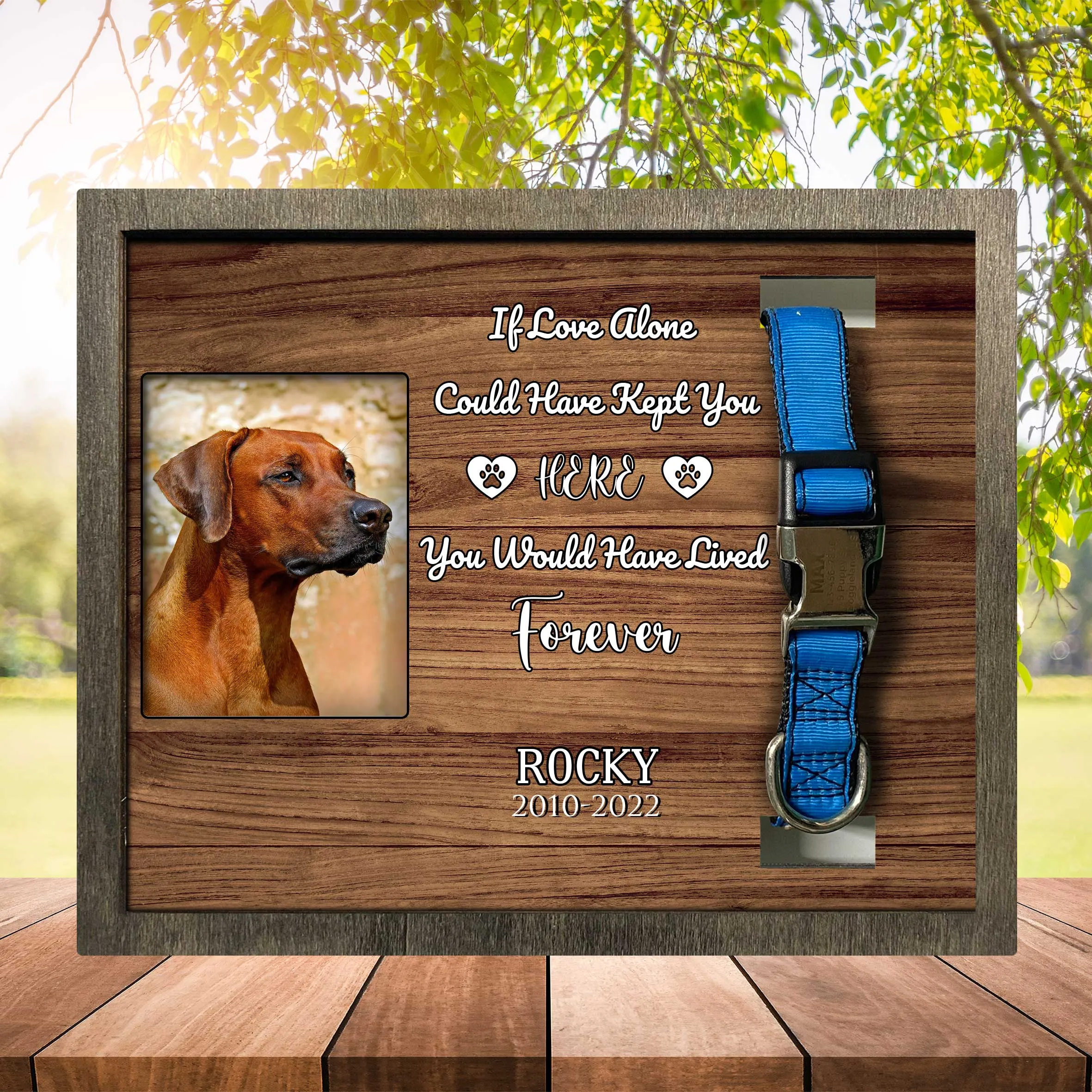 Dog Memorial Plaque For Loss Of Rhodesian Ridgeback, Remembrance Frame For Dog