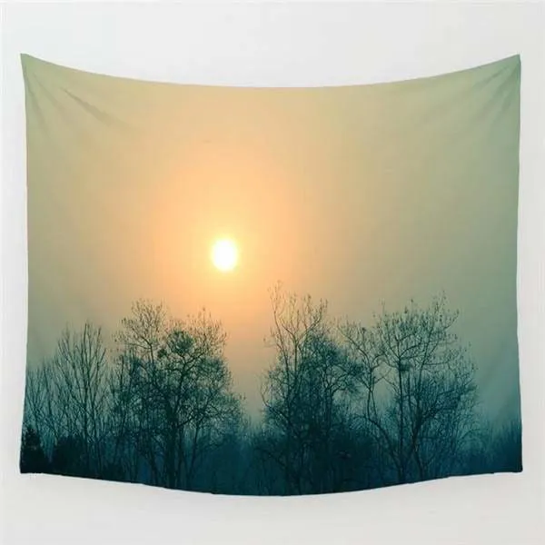 Foggy forest tapestries