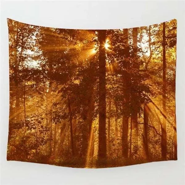 Foggy forest tapestries