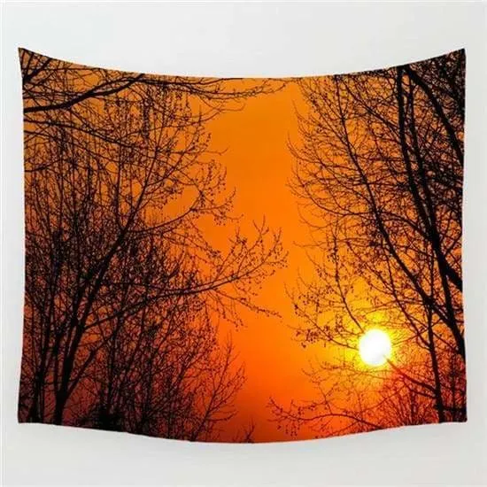 Foggy forest tapestries