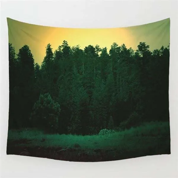 Foggy forest tapestries