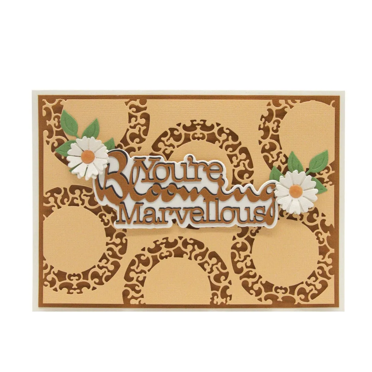 Luxurious Leaves & Ornate Circular Die Set Bundle - DB098