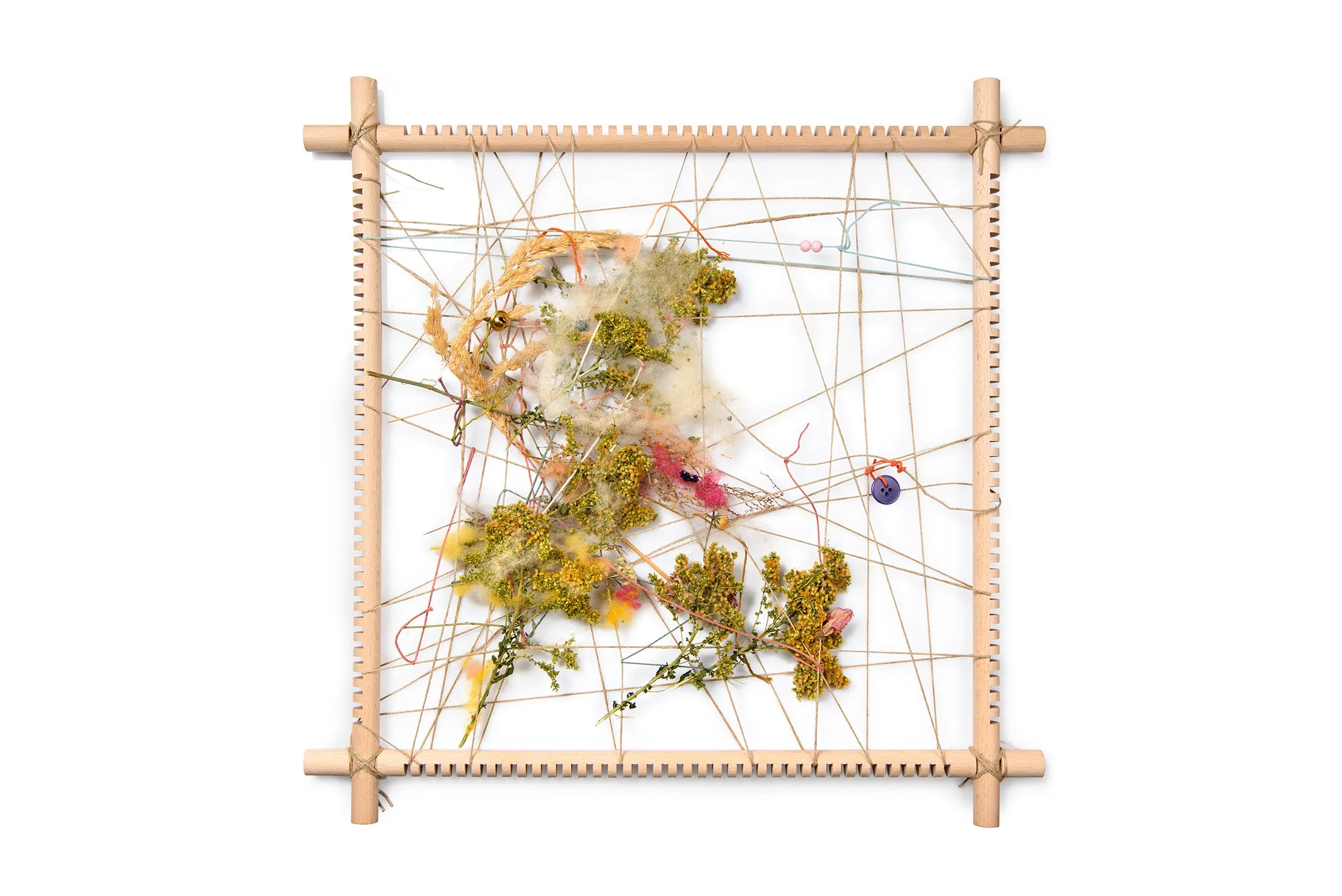 Nature & Memory Frame