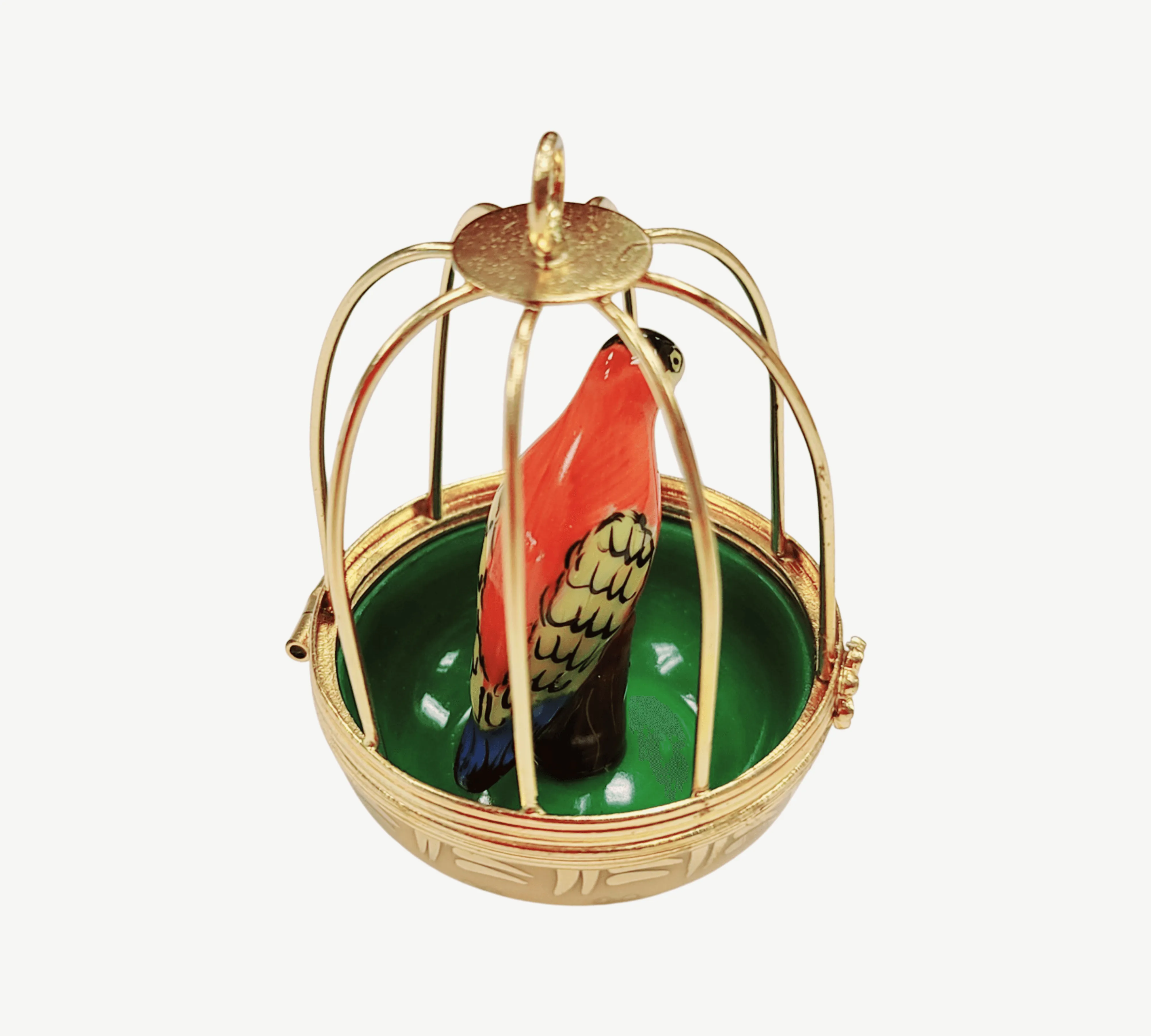 Parrot in Cage