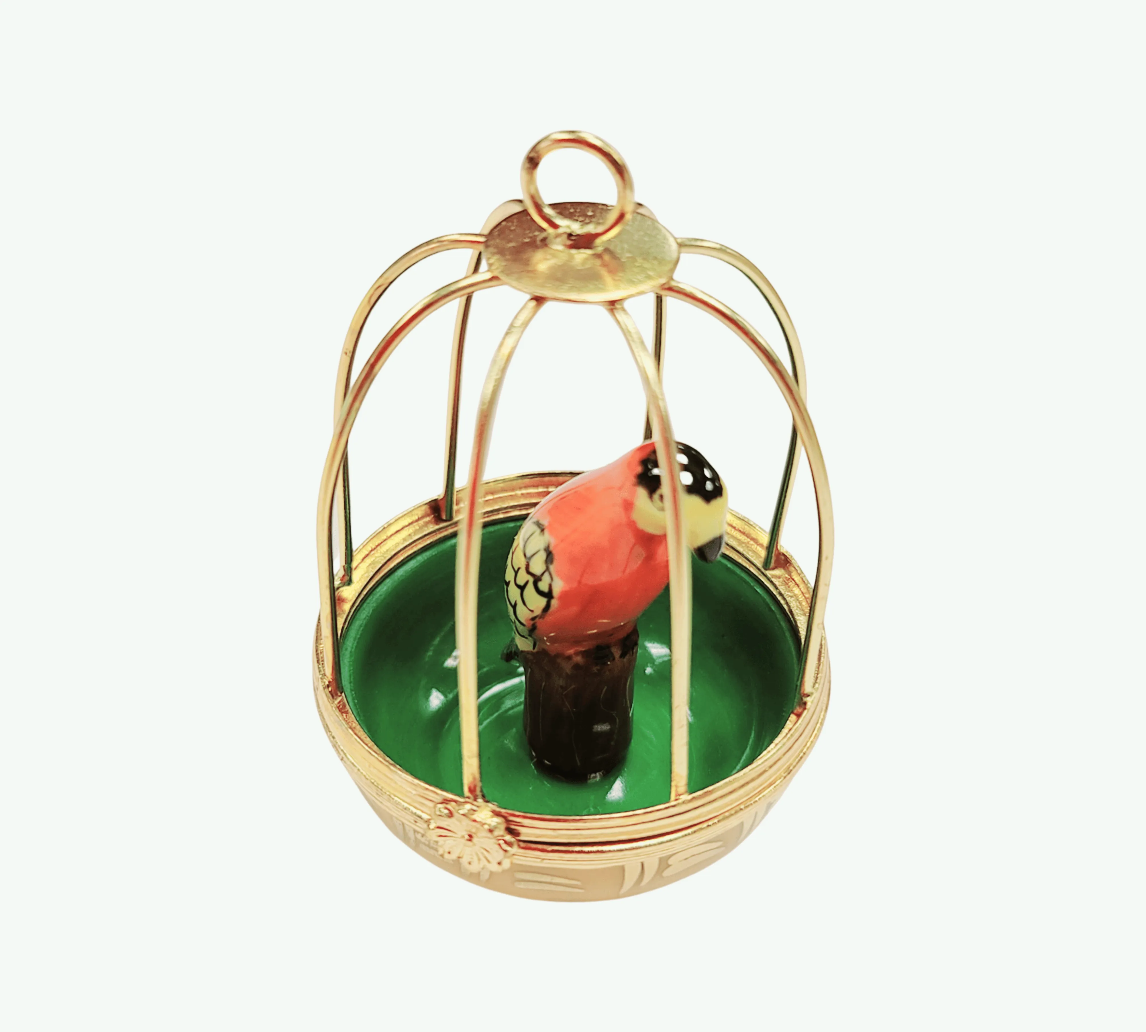 Parrot in Cage