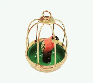 Parrot in Cage