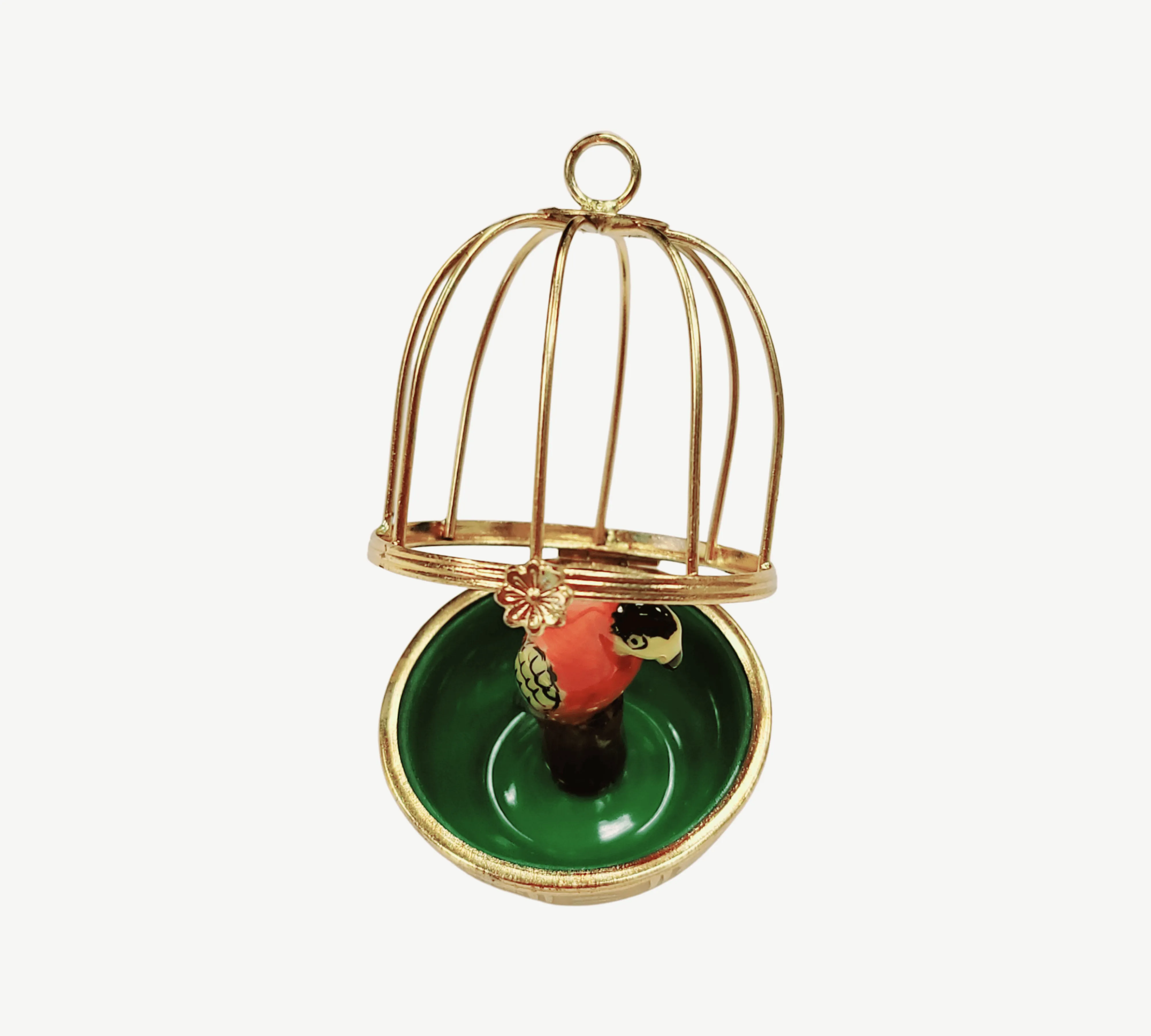 Parrot in Cage
