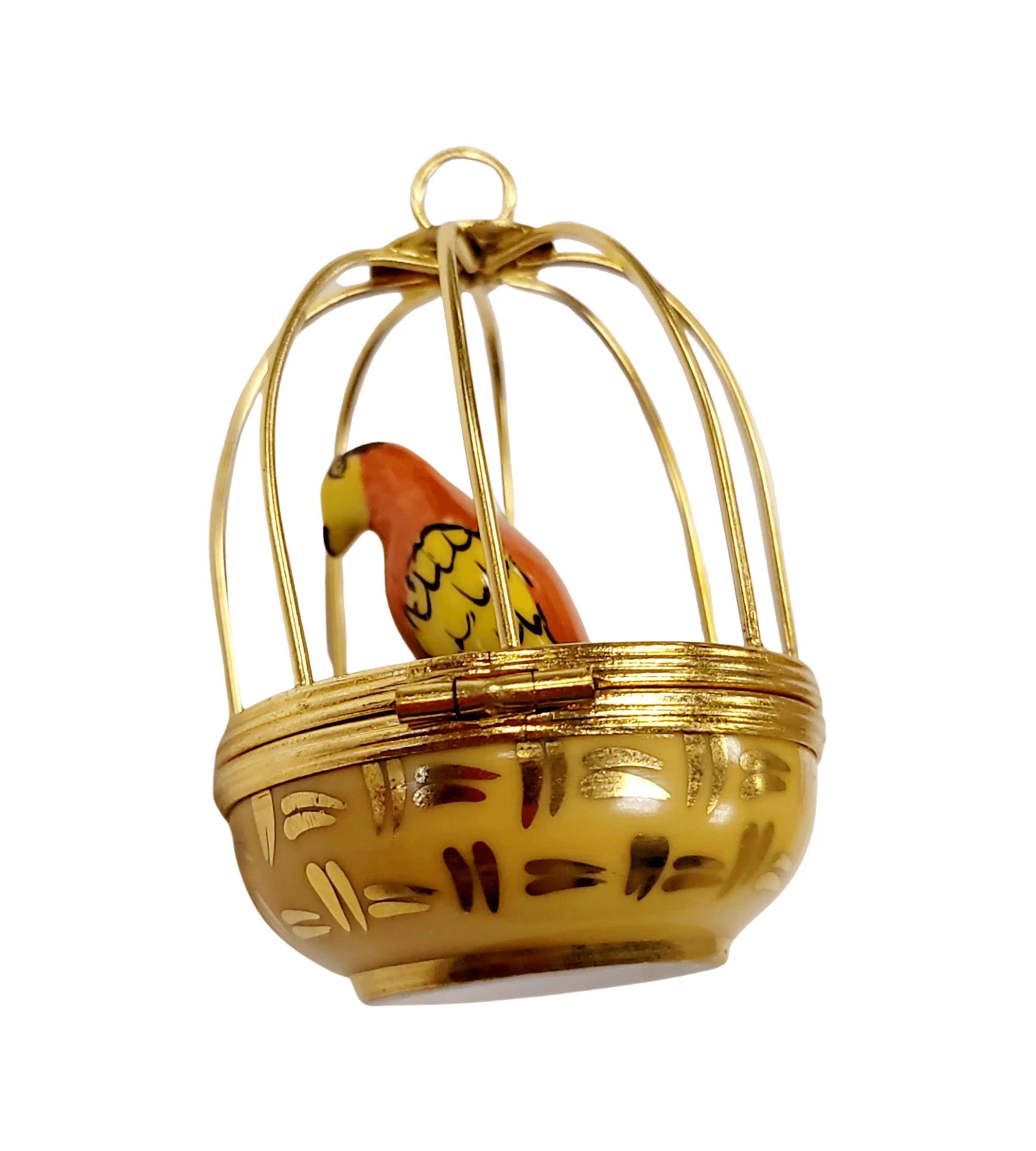Parrot in Cage