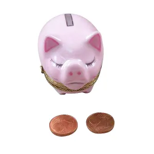 Piggy Bank w Removable Coins