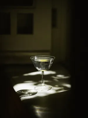 Rosetta Martini | Clear | Set of Two