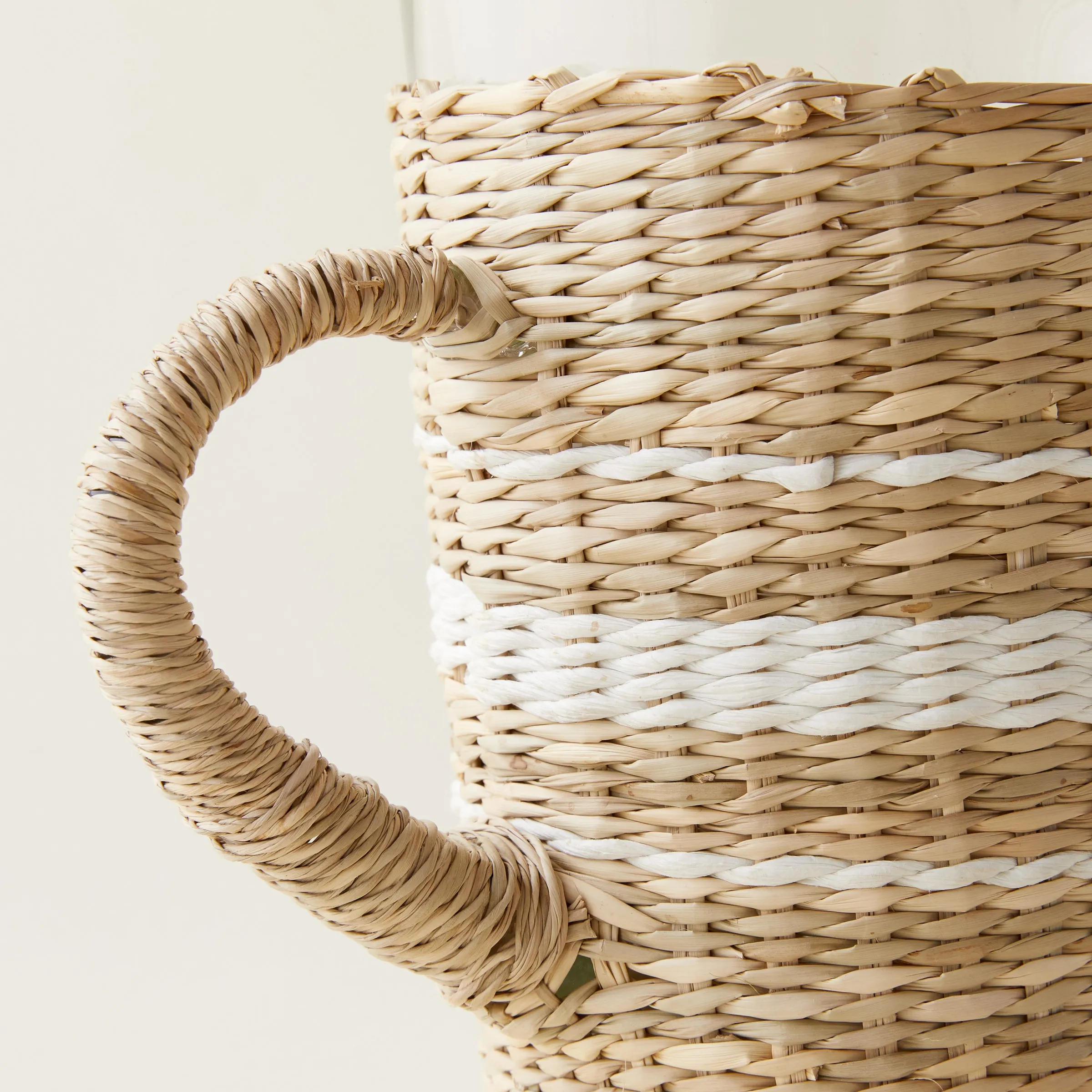 Striped Seagrass Pitcher