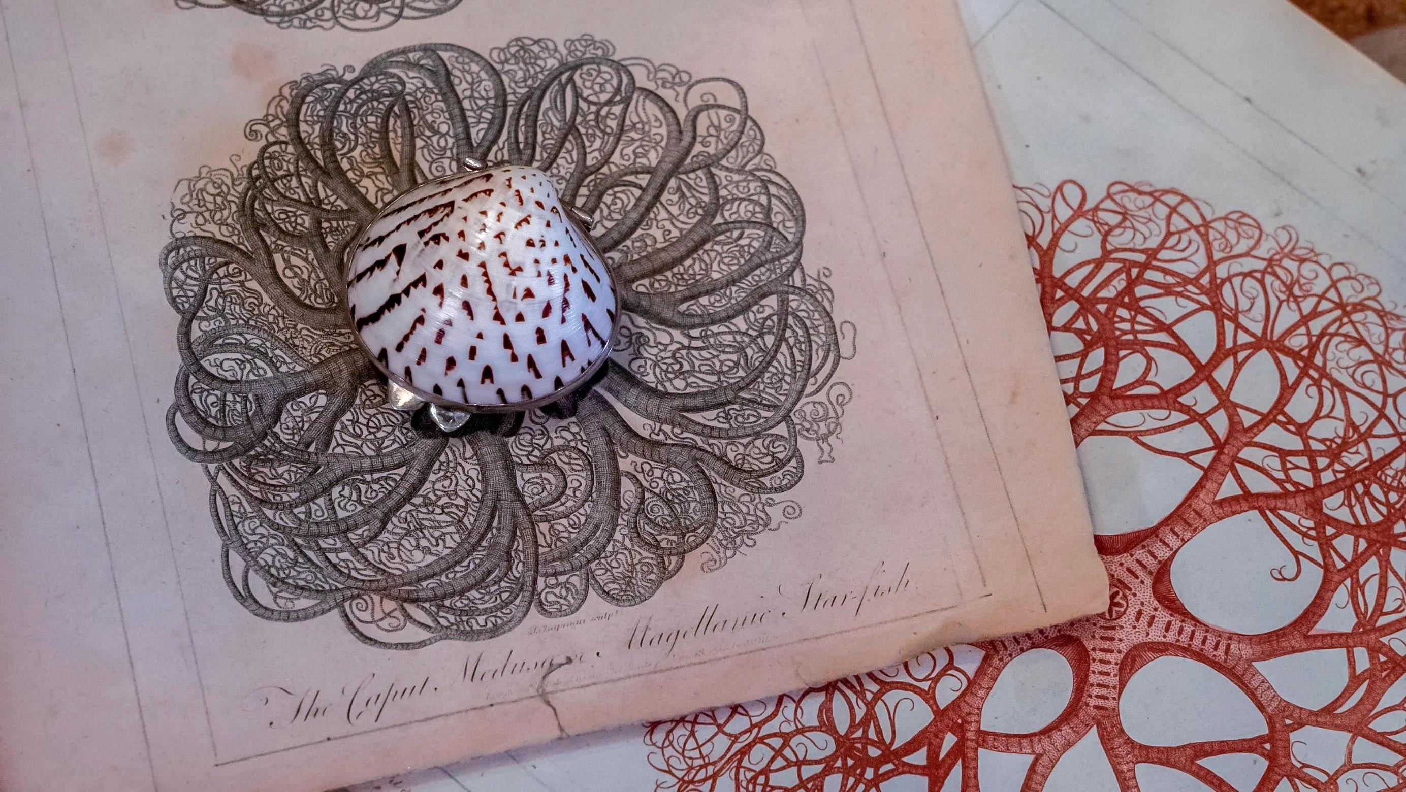 Victorian Style Perfume or Snuff Boxes