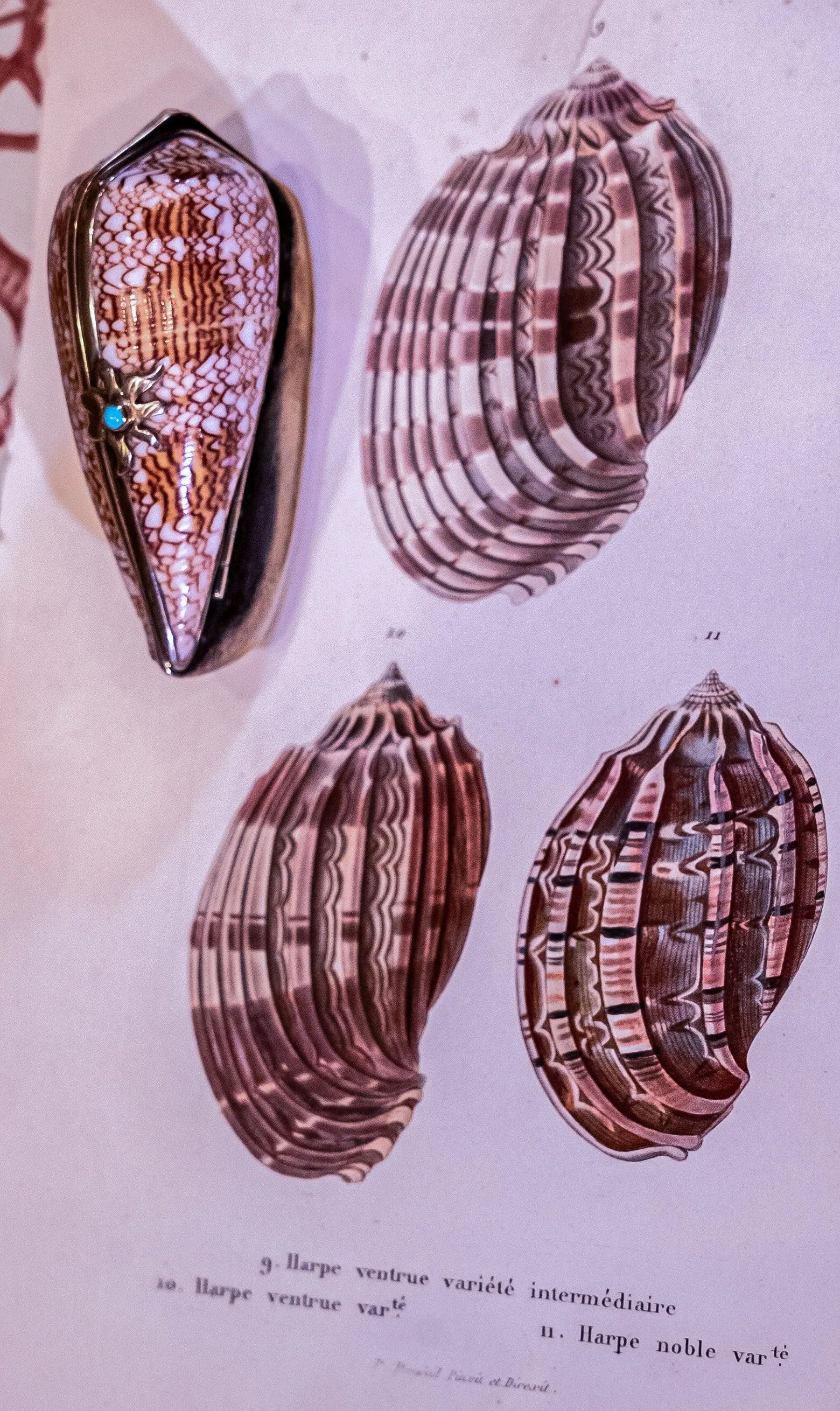 Victorian Style Perfume or Snuff Boxes