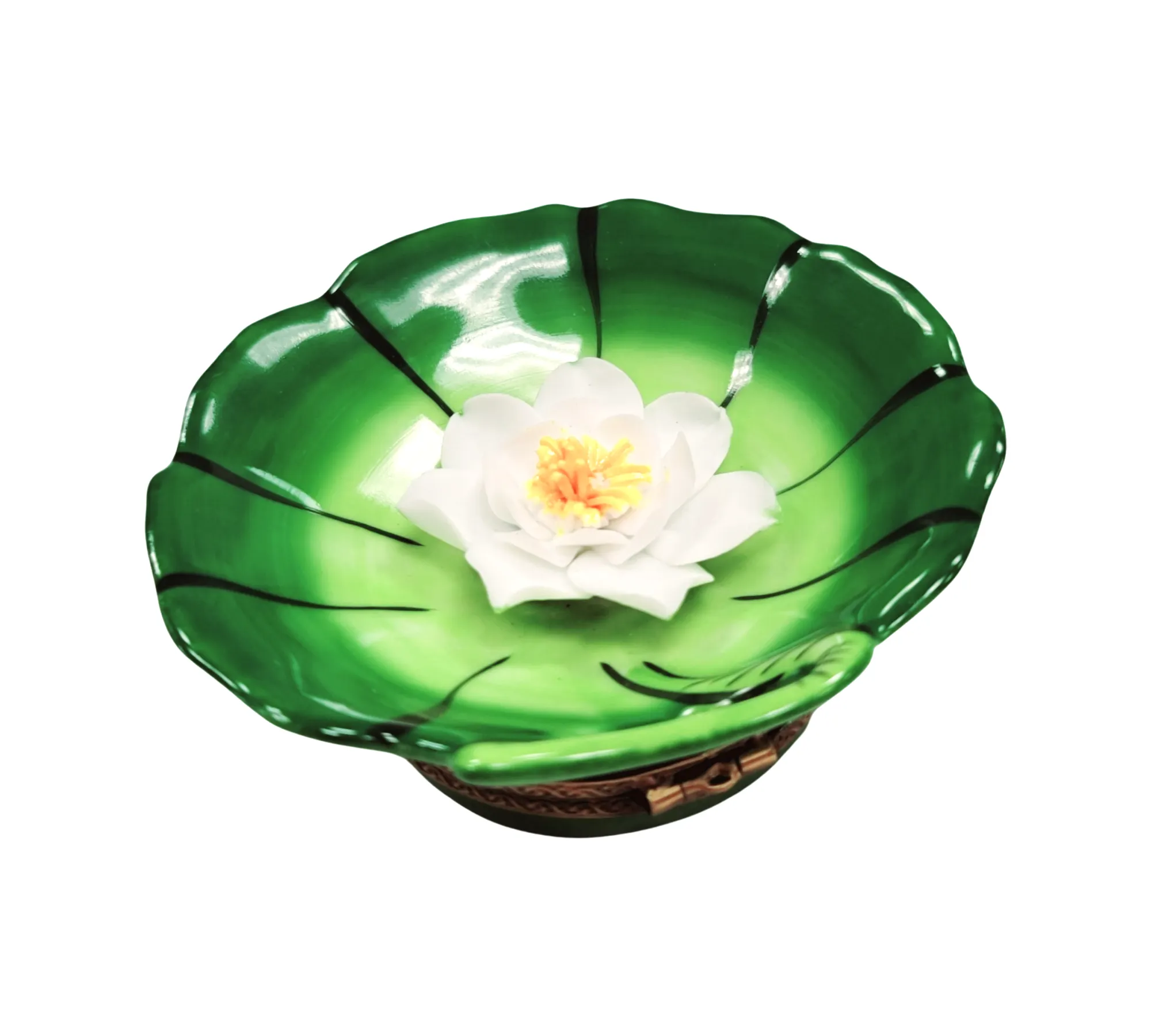 Water Lilypad w Magnolia