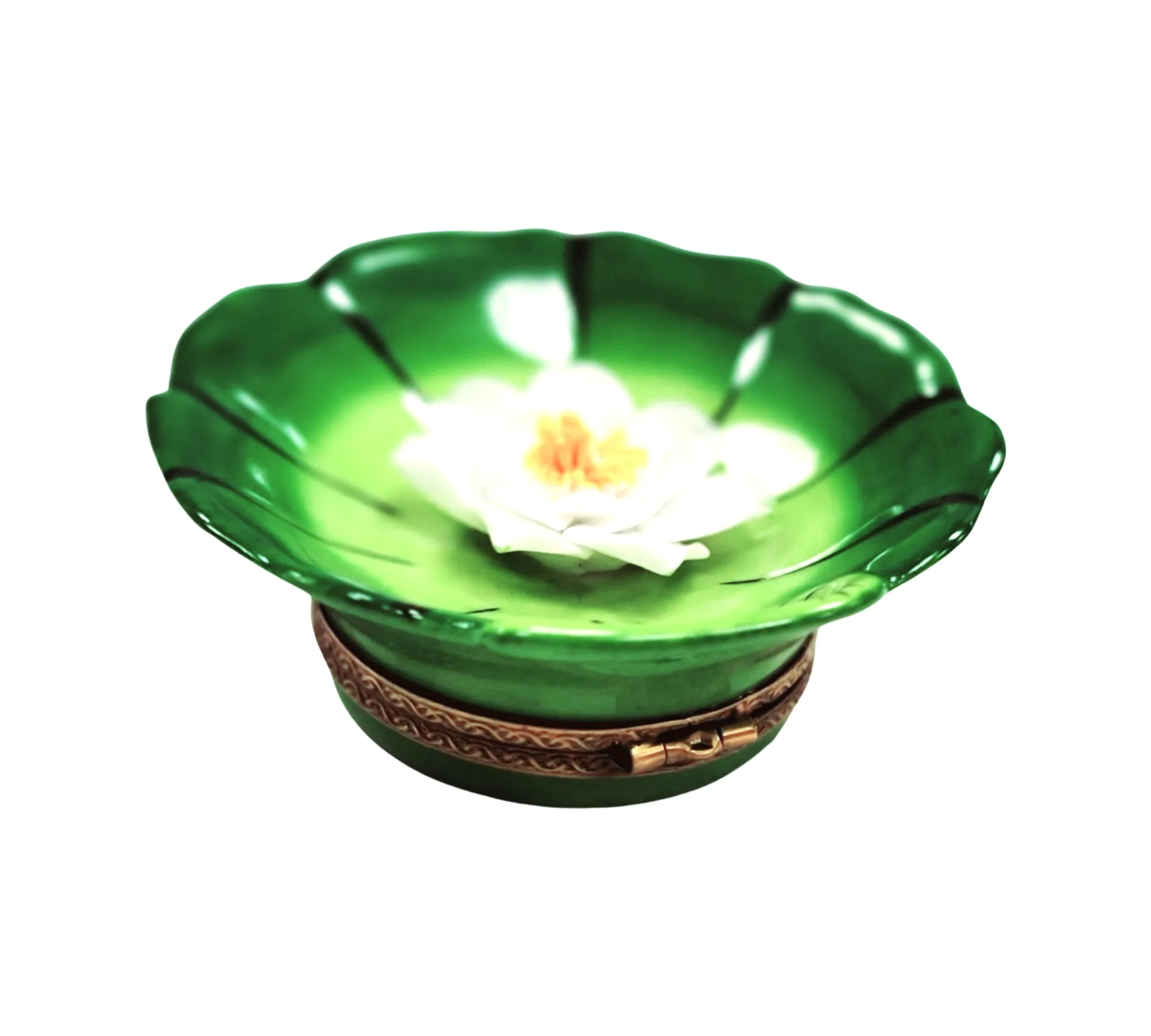 Water Lilypad w Magnolia