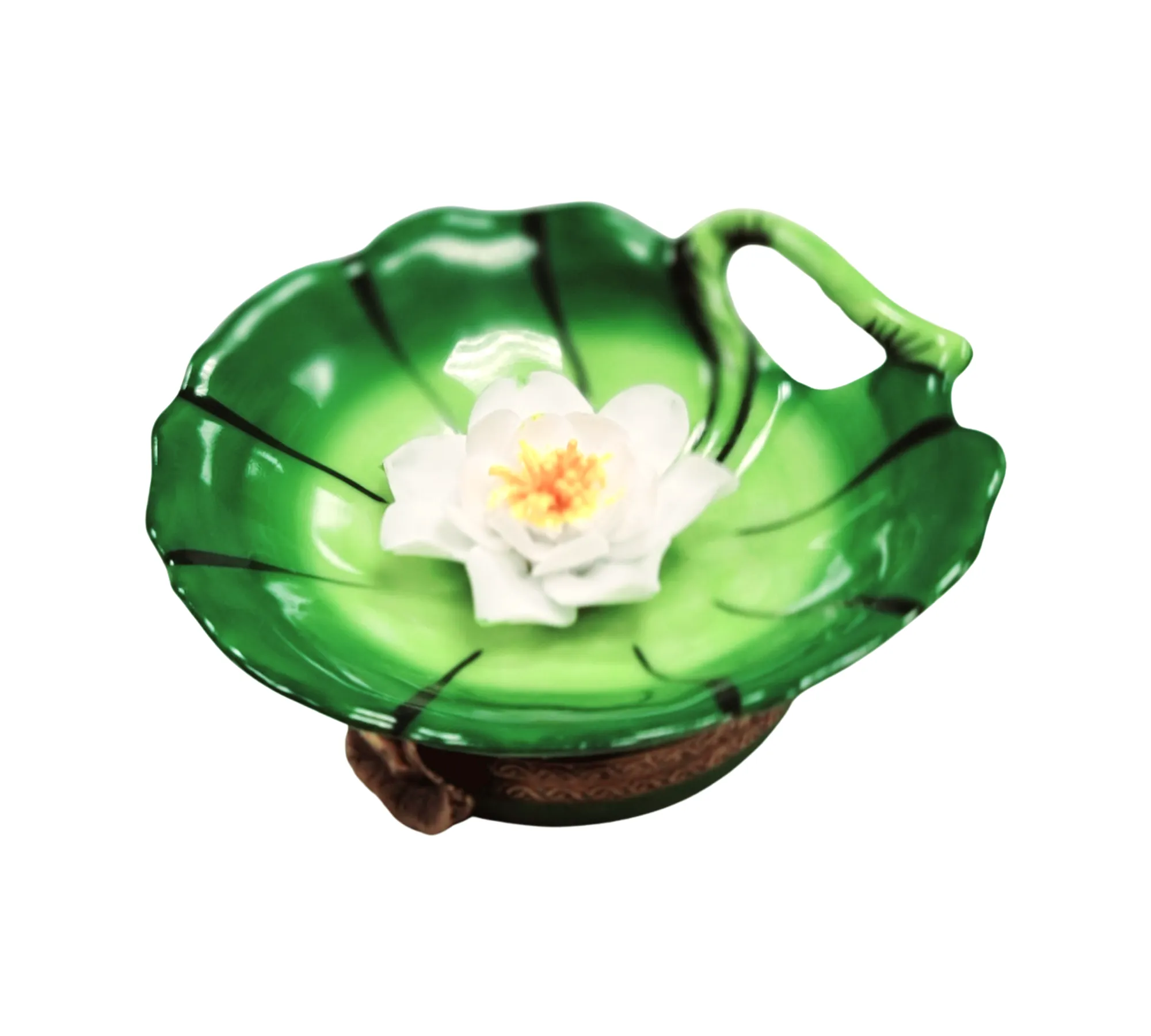 Water Lilypad w Magnolia