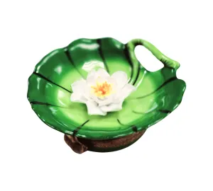 Water Lilypad w Magnolia